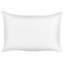 Alywin Castelaro Indoor / Outdoor Floral Rectangular Lumbar Cushion With Filling