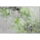 Premium Machine Washable Cerrito AMF520 Green Rug