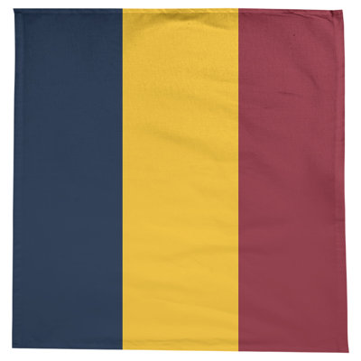 Denver Basketball Tablecloth