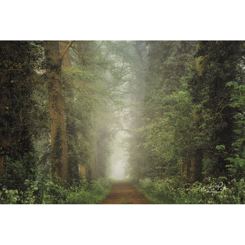 «Misty Spring Road» par Martin Podt - reproduction, H 24 po x l 36 po, Toile tendue
