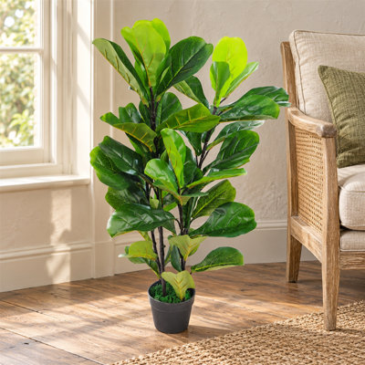 90 cm H Faux Ficus and evergreen Tree Plant in Plastic Pot Liner
