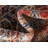 Ulla Oriental Indoor Rug-61945889