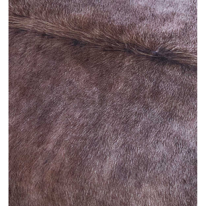 Animal Print Area Rug, Novelty 150 x 190cm