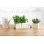 3 Piece Metal Window Box Planter Set