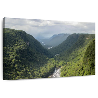 Alvord Misty Guyana Jungle