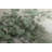 Antwann 'Scented Eucalyptus Neutral' by Danhui Nai, Floral Bouquet in Vase Canvas Wall Art-831671974-831671968-853662043