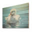 «Blue Duck Swim II» bleu et blanc - animal canard sur bois-1323392748