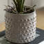 Orchid in White Ceramic Dot Pot 400mm-1237655196