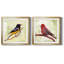 «Backyard Birds I», ensemble de 2 cadres photo-863639455-863639440