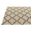 Tapis ivoire 5x8 Pineland