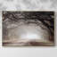 Timeless Plantation Drive, reproduction d'art sur toile-94360554-94360553