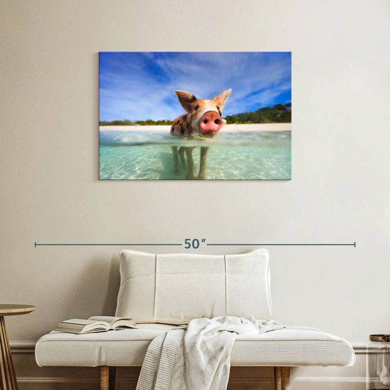 Brampt Pig In Exuma Bahamas, 24" H x 36" W