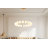 Harmehar 29" Wide Acrylic Circular Ring Orbit LED Integrated Chandelier-1212512511-1212512504