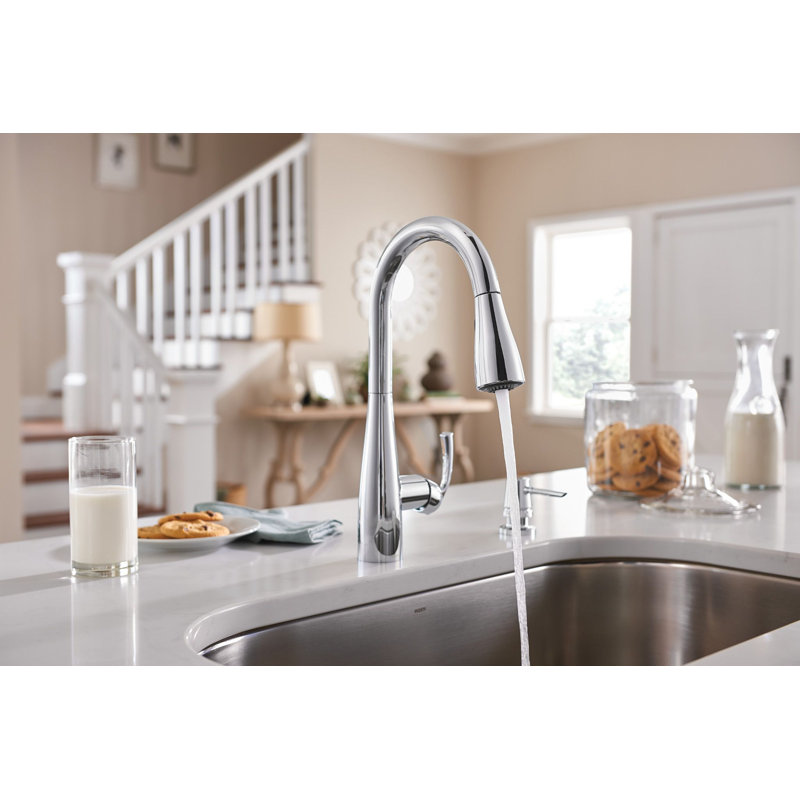 Moen Essie Pull-Down Kitchen Faucet with Power Clean Technology and Soap Dispenser, Chrome