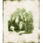 Evergreen I Print by Zoey Riley-26936918-26936917