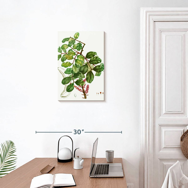 Keiri Carob Tree, 24" H x 16" W