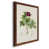 Maple Framed