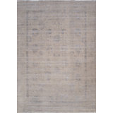 Transitional Silver/Gray Area Rug