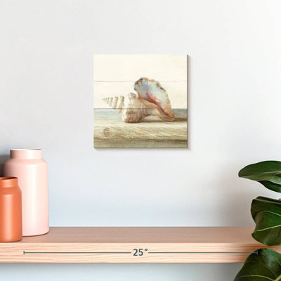 Aletra Driftwood Shell IV