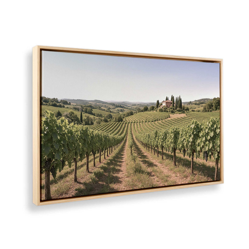 Sunlit Tuscan Vines, reproduction sur toile, 8 po x 12 po, Cadre flottant en érable américain