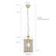 Quakertown 1 - Light Lantern Pendant-9727318