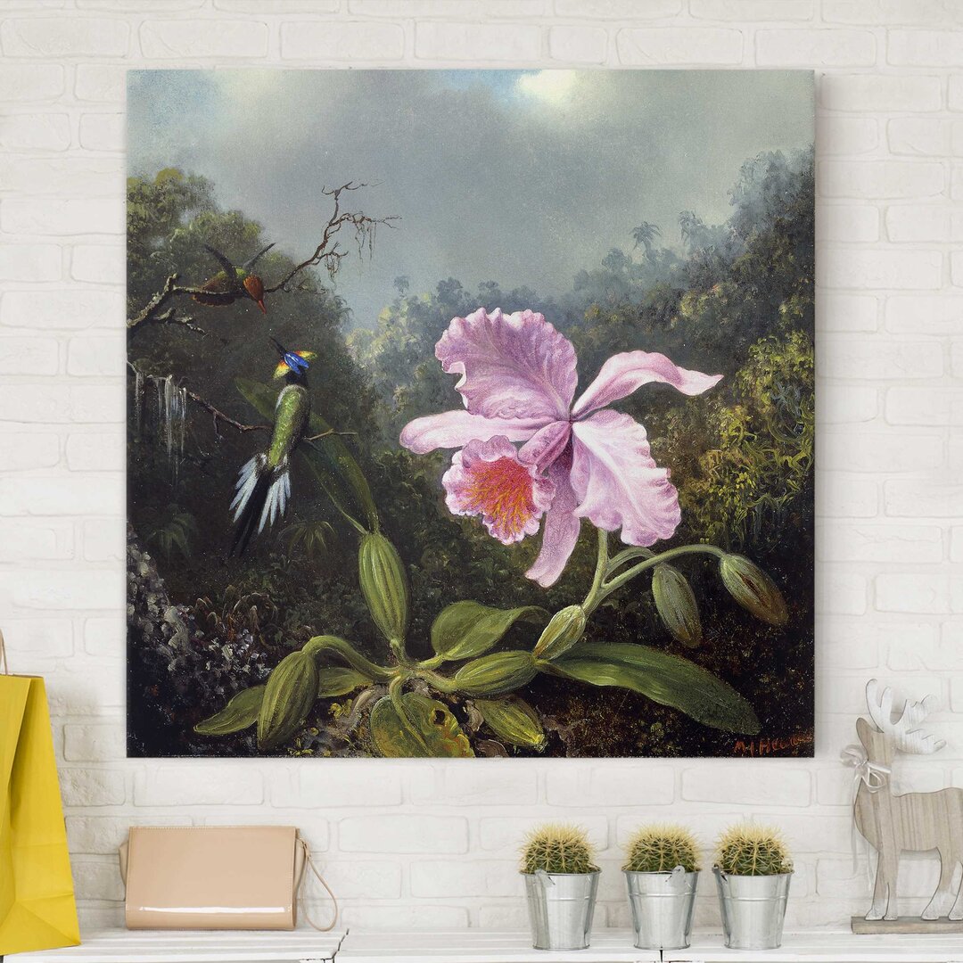 Leinwandbild Stillleben Mit Orchidee Und Zwei Kolibris von Martin Johnson Heade