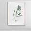 « simple sage i »-cadre photo imprimé sur verre-343747216-343747221