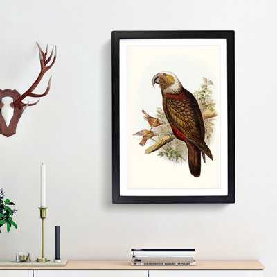 Ka-Ka Parrot by Elizabeth Gould - Picture Frame Graphic Art Print