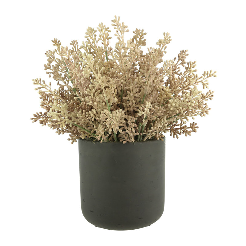 Seeded Eucalyptus Arranged in a Fiberstone Pot, Pink/Black, 9" H x 15" W x 15" D