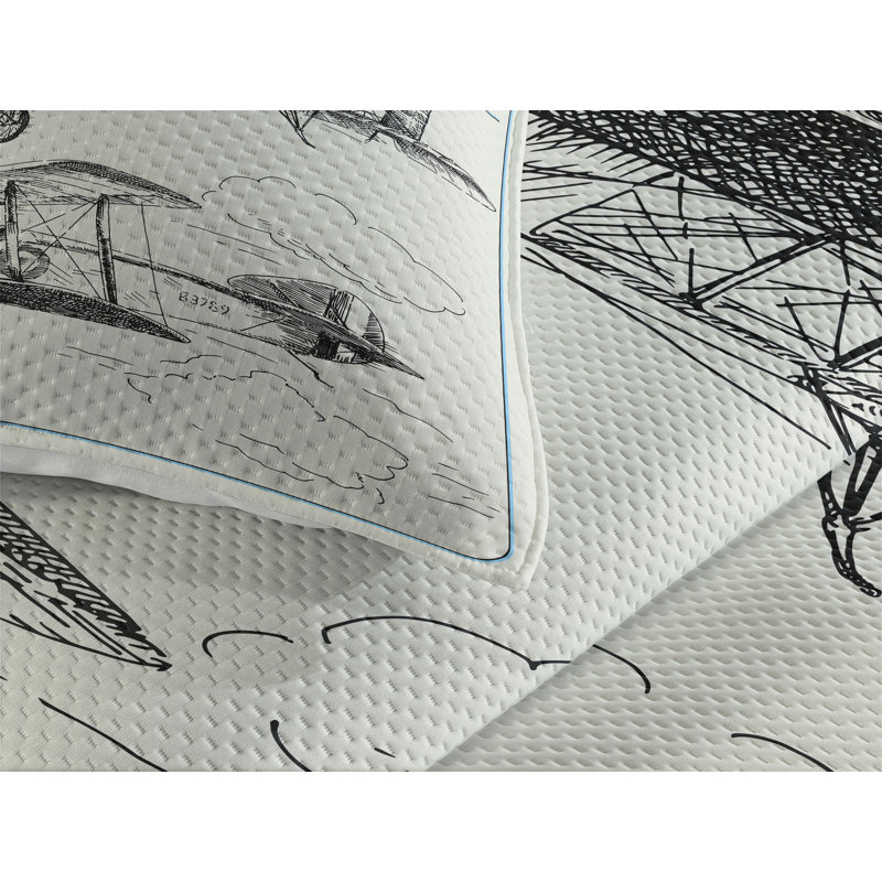 Modern & Contemporary Polyester Coverlet