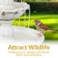 Fontaine d'extérieur à 3 niveaux en fibre de verre blanche Kujawa Welcome-994428170