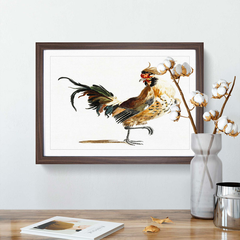 A Rooster by Johan Teyler - Framed Print, 24cm H x 33cm W x 2cm D, Walnut Framed