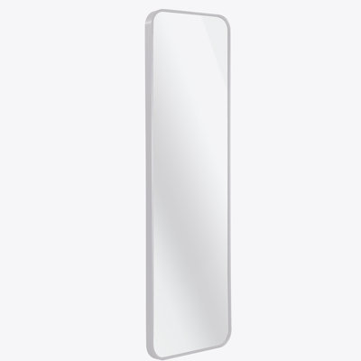 Door Mirror
