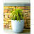 Karola Pot Planter-1210281156-1210281157