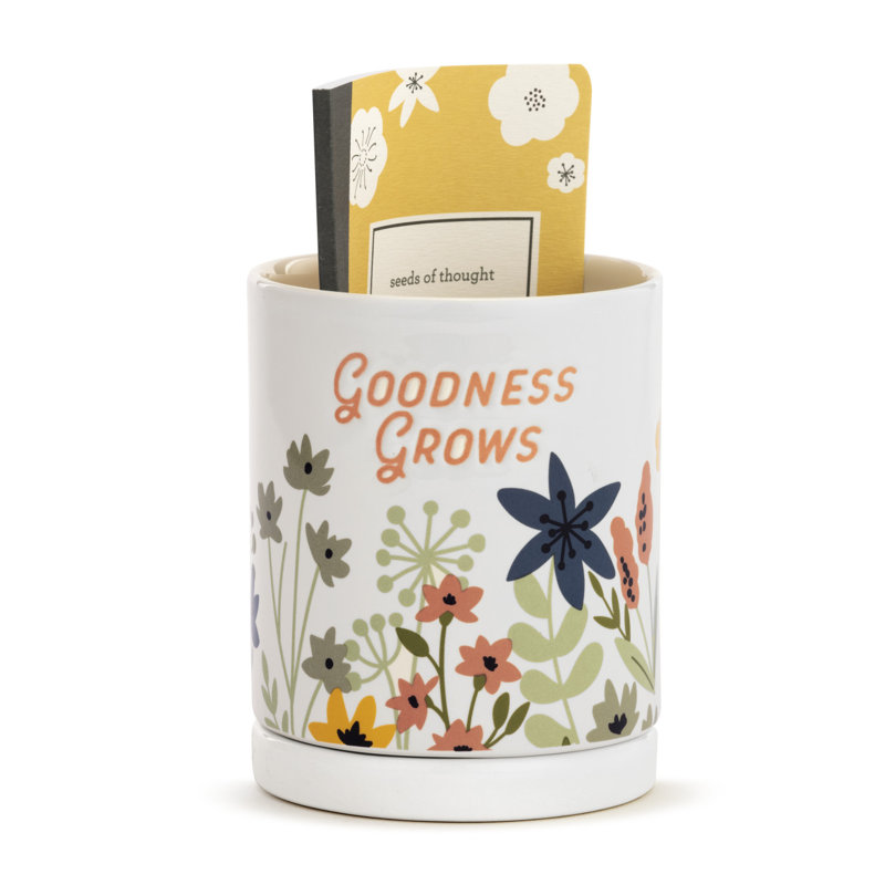 Ceramic Pot Planter