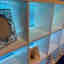 Photos des clients 1 de 1