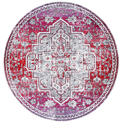 Skyler Performance Oriental Rug