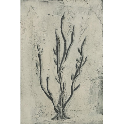 Sea Bevy I by Renée W. Stramel - Wrapped Canvas Painting