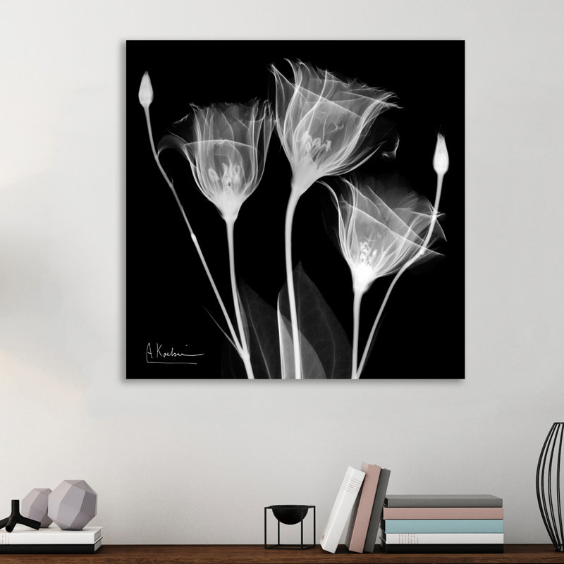 " Gentian White ", 48" H x 48" W