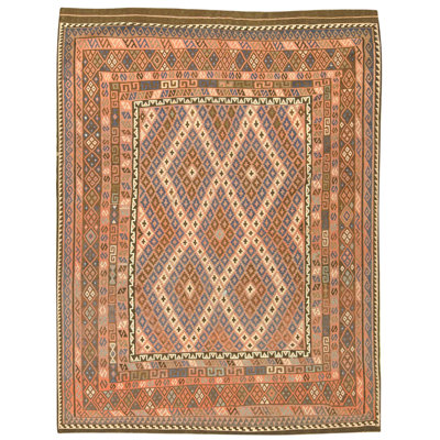 Hand Knotted Wool Area Rug in Multi