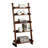 Stylish Transitional Ladder Shelf