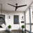 Hunter 60 inch Cassius ENERGY STAR® Damp Rated Ceiling Fan wtih Wall Control-108954467