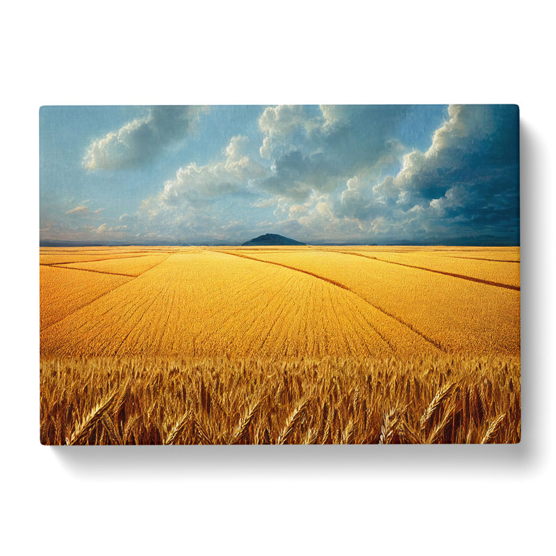 Favourable Wheat Field - Wrapped Canvas, 35cm H x 50cm W x 3cm D