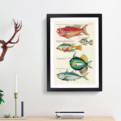 East Indies Fish Illustrations XXI by Louis Renard - Picture Frame Graphic Art Print