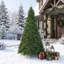 10 arbres de Noël