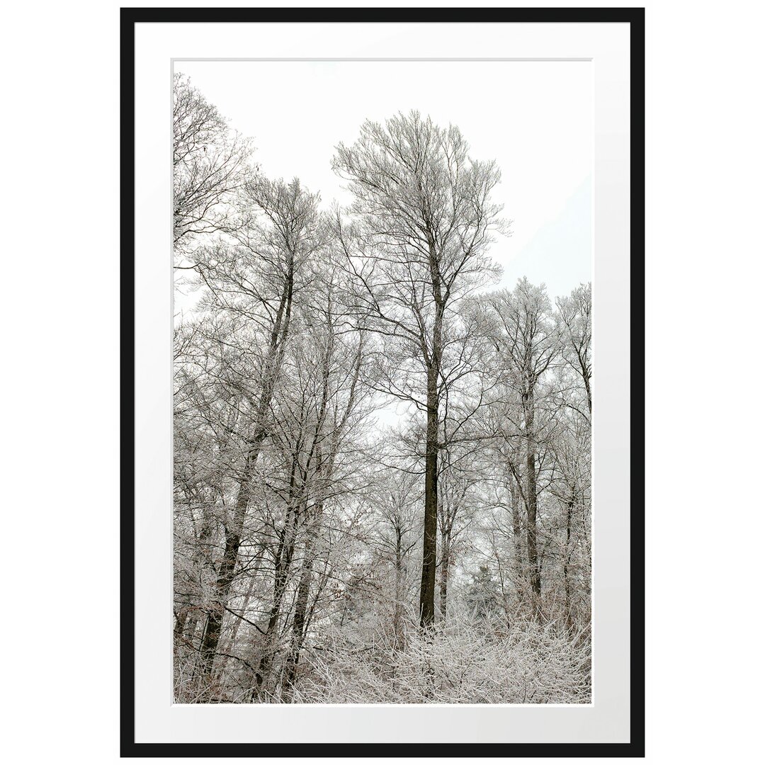 Gerahmtes Poster Verschneiter Wald