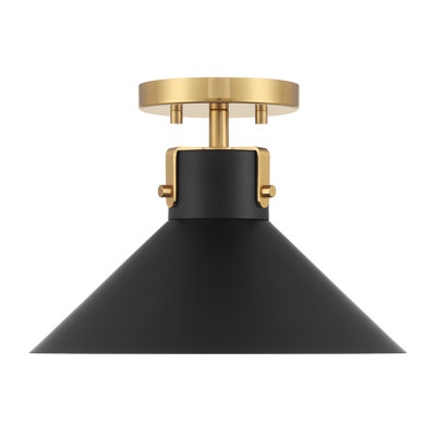 Ohemaa 1-Light Ceiling Light in Matte Black and Natural Brass