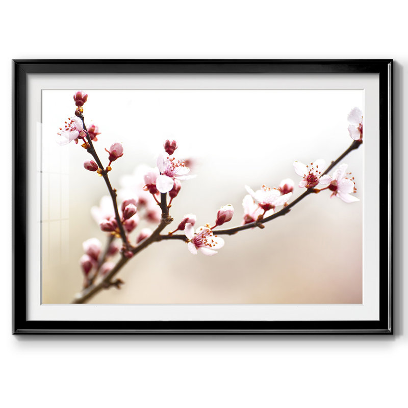 Cherry Blossom Study I, reproduction d'art encadrée, Noir, H 27 po x l 39 po x P 1,5 po