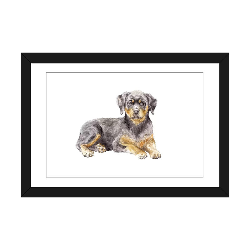 «Rottweiler Puppy», reproduction sur toile, H 16 po x l 24 po x P 1 po, Papier d'art encadré noir, Blanc