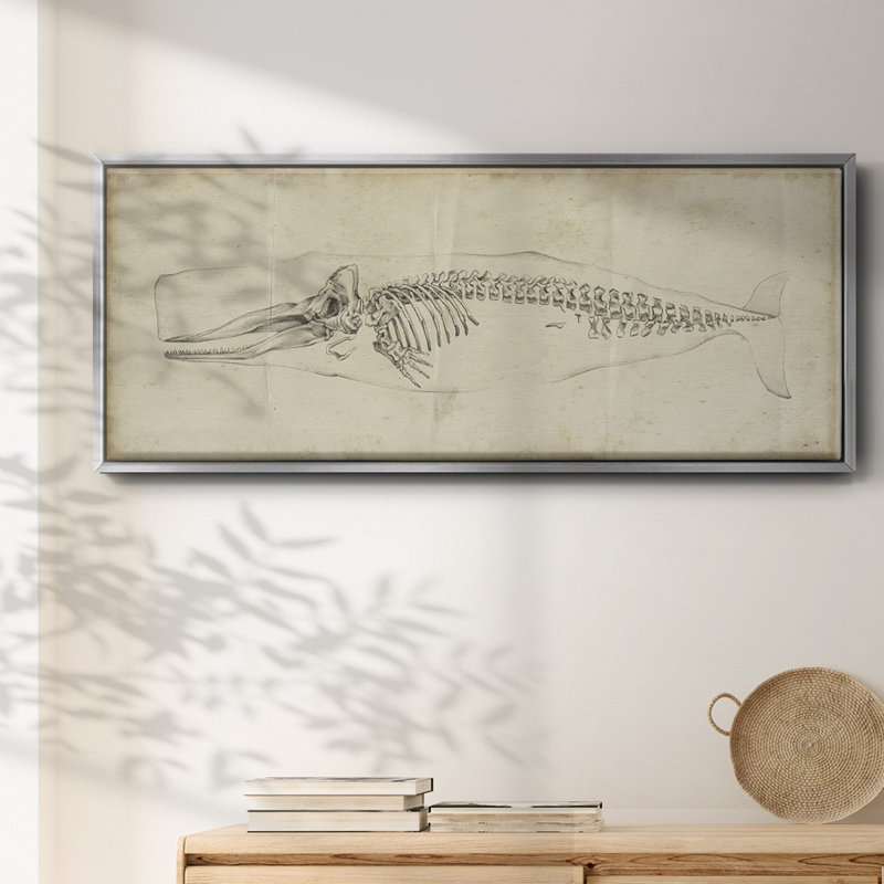 Whale Study II - toile encadrée, H 20 po x l 50 po